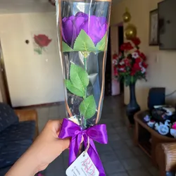 Mangas de rosas eternas