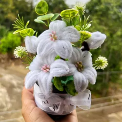 Masetica de Limpiapipa