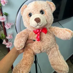 Oso peluche 