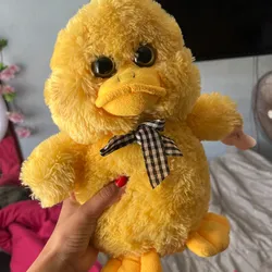 Patico gruñón