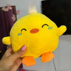 Pollito