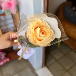 Rosa con manga