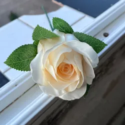 Rosa estilo realista