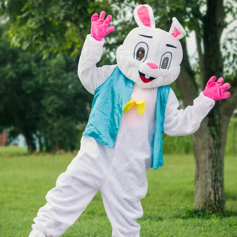 Bunny 🐰