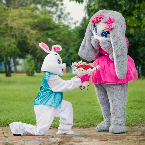 Tú sueñas, nosotros lo hacemos realidad!
Regalomanía, tienda de regalos personalizados.
Tenemos disponibilidad de peluches, bombones Ferrero Rocher, nutela, confituras, bebidas, cake y muchos más opcionales para los regalos.