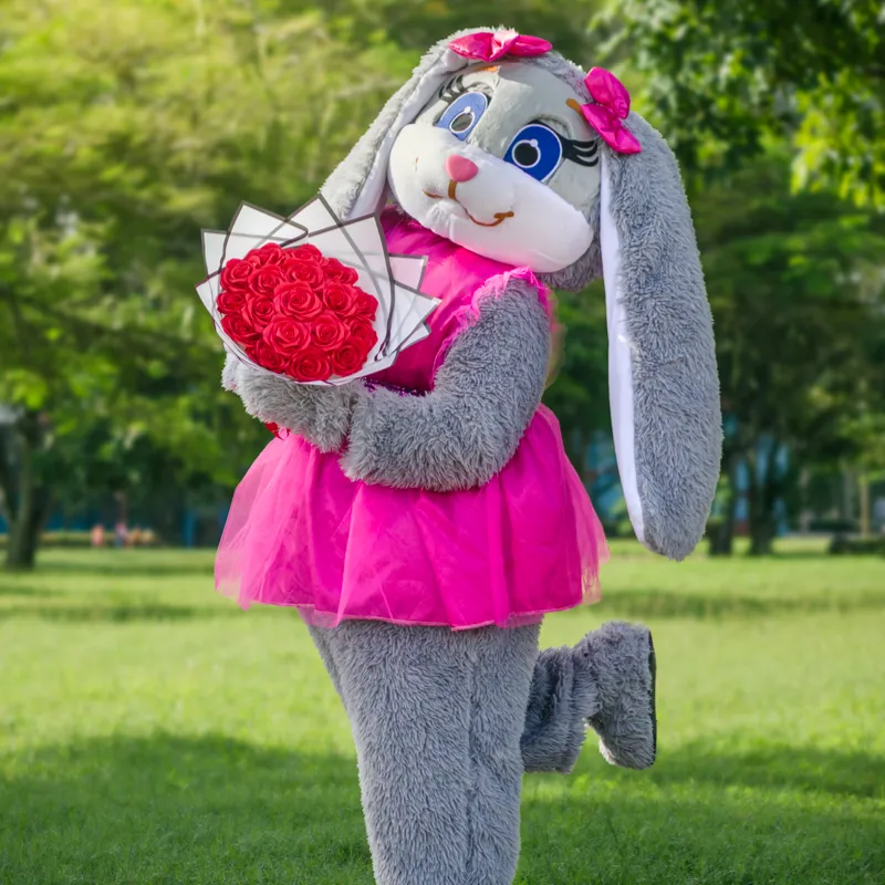 Judy 🐰