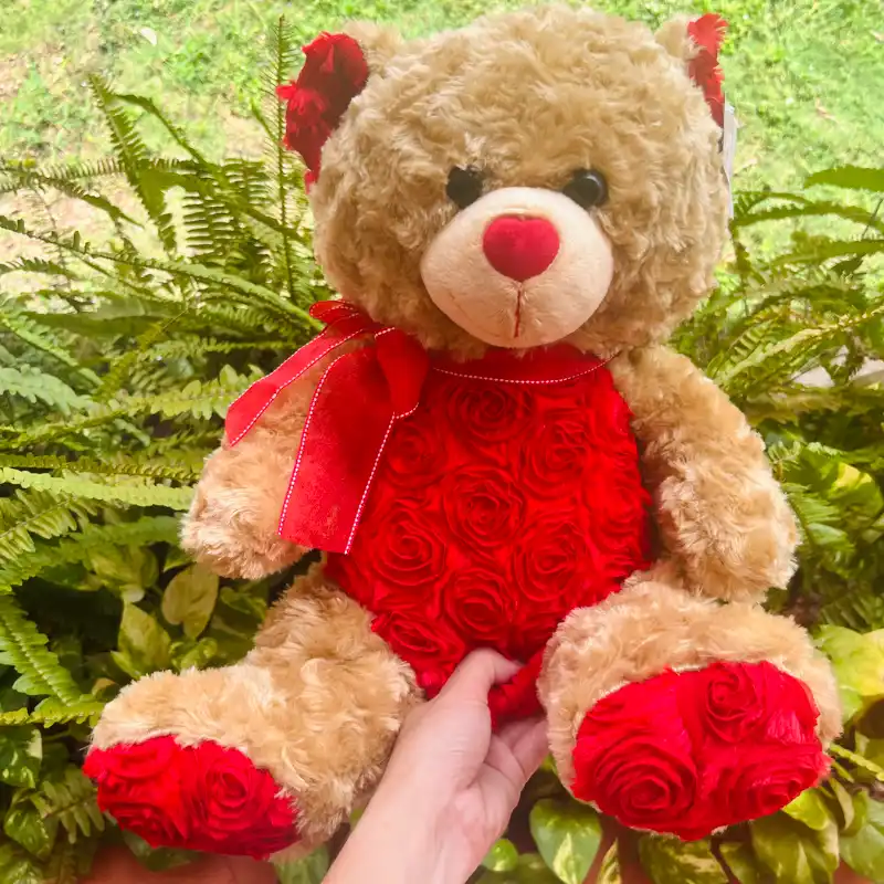 Oso pardo y rojo