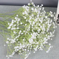 gypsophilas