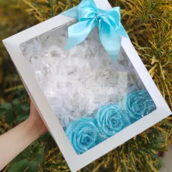 Cajita vacía con tapa transparente