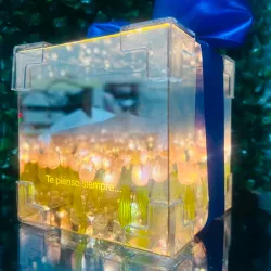 Cubo de tulipanes con dedicatoria