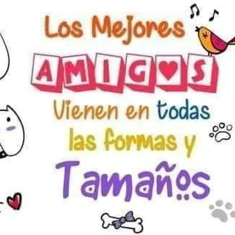 Amistad