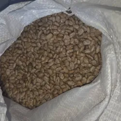 1kg Frijol Bayo  