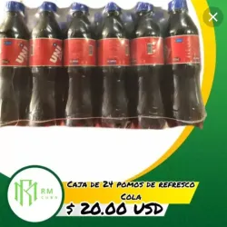 Caja de 24 Pomo de Refresco Cola 