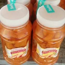 Encurtido de Sanaoria