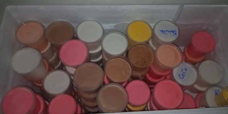 Helado Pote de 1L 