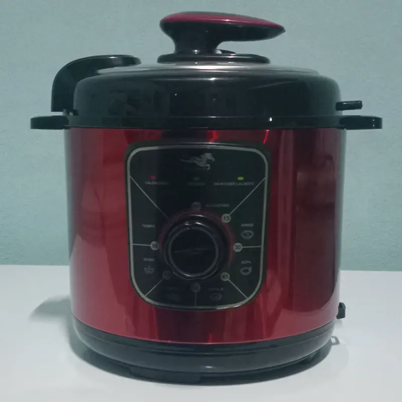 Olla Reina UNIZUKI 6 litros