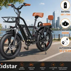 BICICLETA ELÉCTRICA