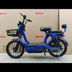 Bicimoto ViVe Nice 