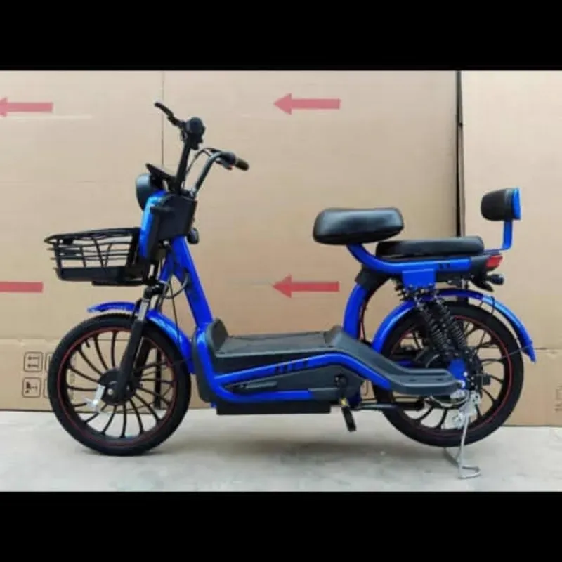Bicimoto ViVe Nice 