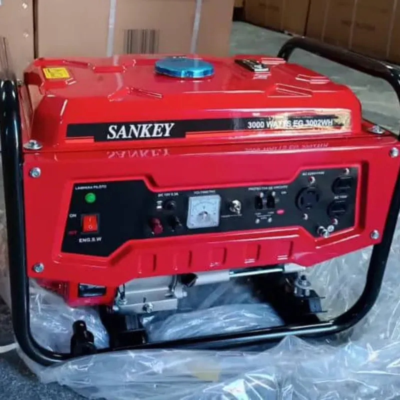 Planta Eléctrica Sankey de 3000 watts