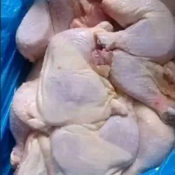 Pollo