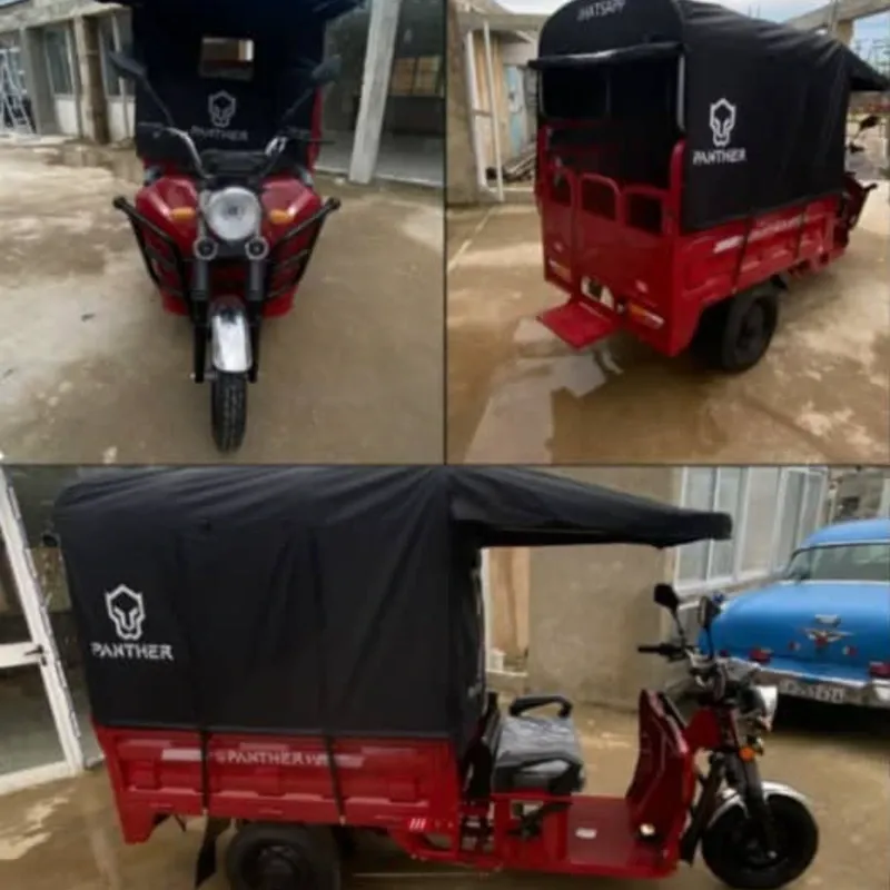 TRICICLO ELÉCTRICO JIMPENG PANTHER (CON TECHO)