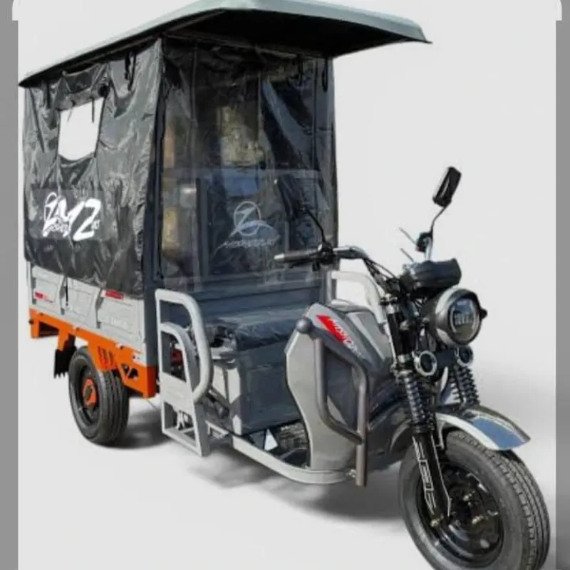 TRICICLO ELÉCTRICO MISHOZUKI
