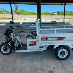 TRICICLO VIENTO RÁPIDO