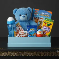 Cesta Infantil 💚 Premium 🧺