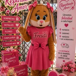 Conejita Fresita 🐰🩷