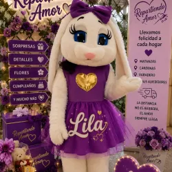 Conejita Lila 🐰💜