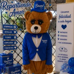 Oso Bruno 🐻🤎