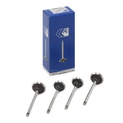 JUEGO DE VALVULA DE ESCAPE