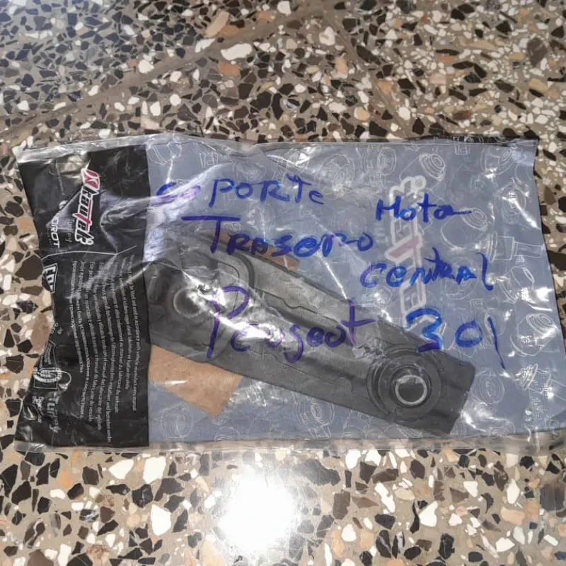 SOPORTE DEL MOTOR TRASERO