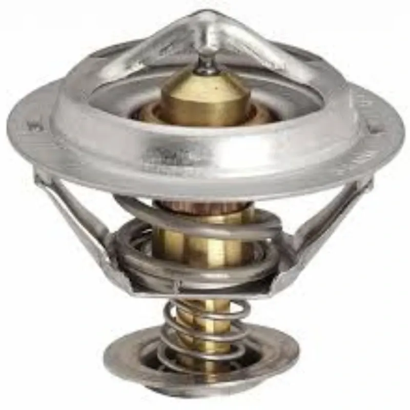 TERMOSTATO DEL MOTOR