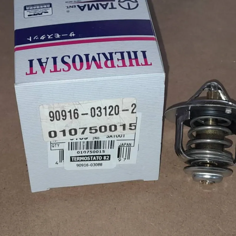 TERMOSTATO DEL MOTOR