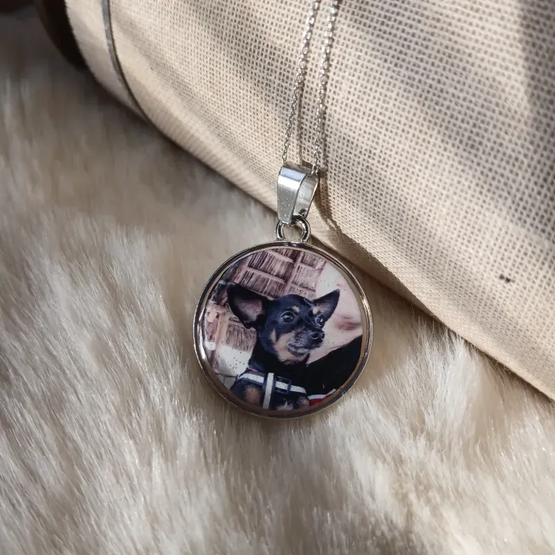 Dije Aro de acero plateado