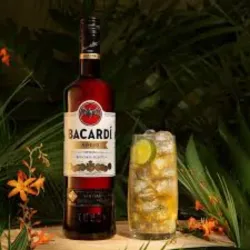 Bacardí (60 ml)