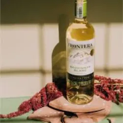 Vino Frontera Blanco