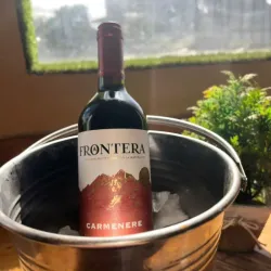 Vino Tinto Frontera
