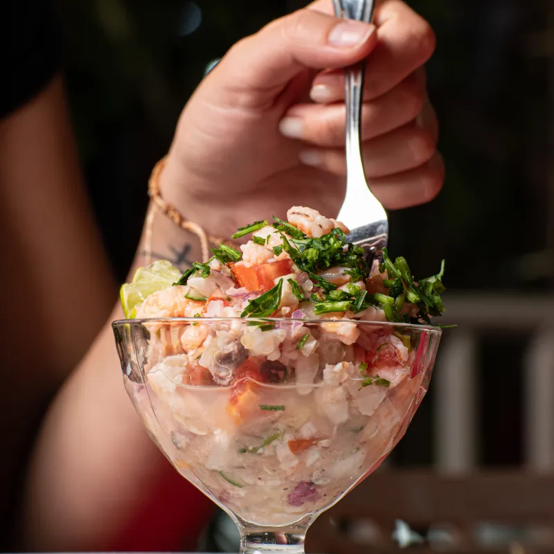 Ceviche Mixto