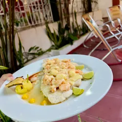 Filete de Pescado Doble Mount 