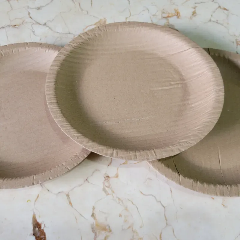 Plato desechable