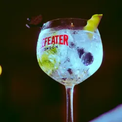 Gin tonic 