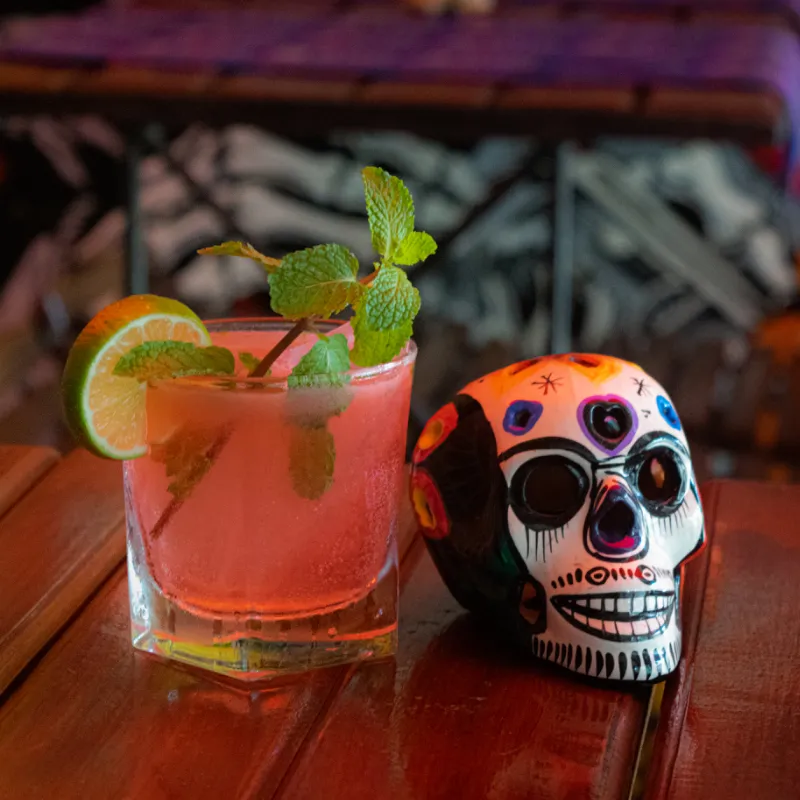 Divina Catrina