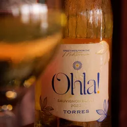 Copa de Vino (Rosado, Blanco o Tinto)