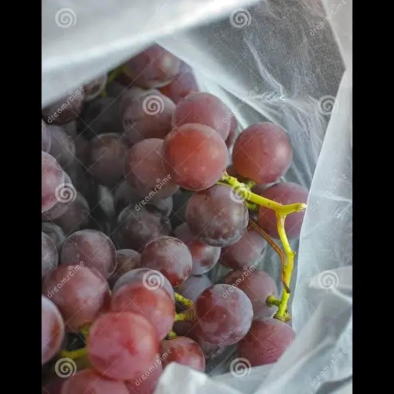 Uvas