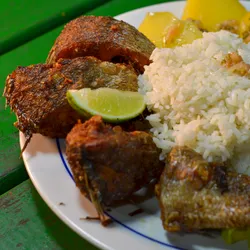 Rueda de Trucha Frita