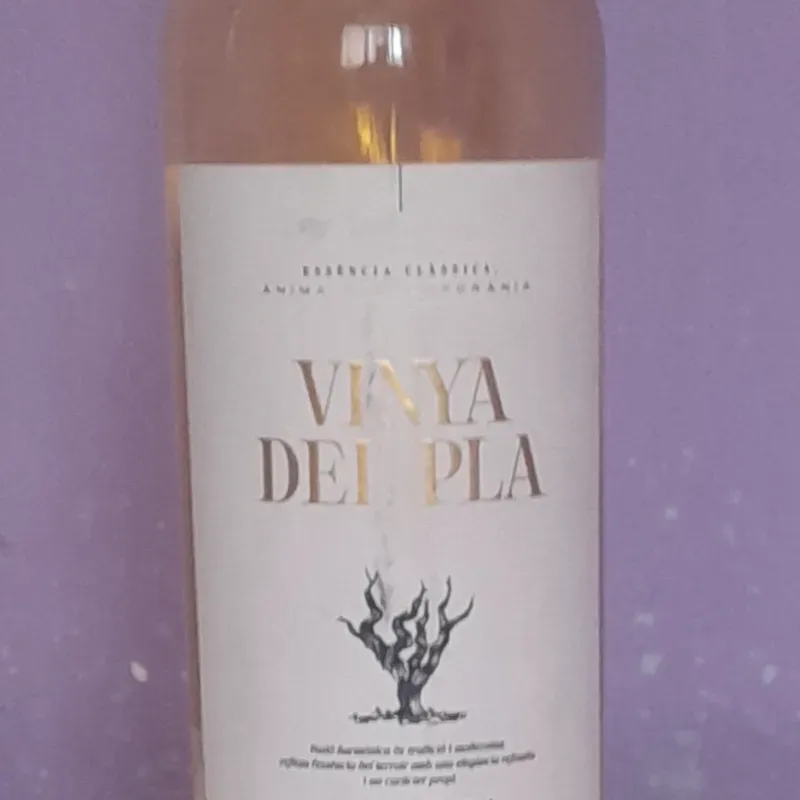 Vino Rosado Vinya Del Pla