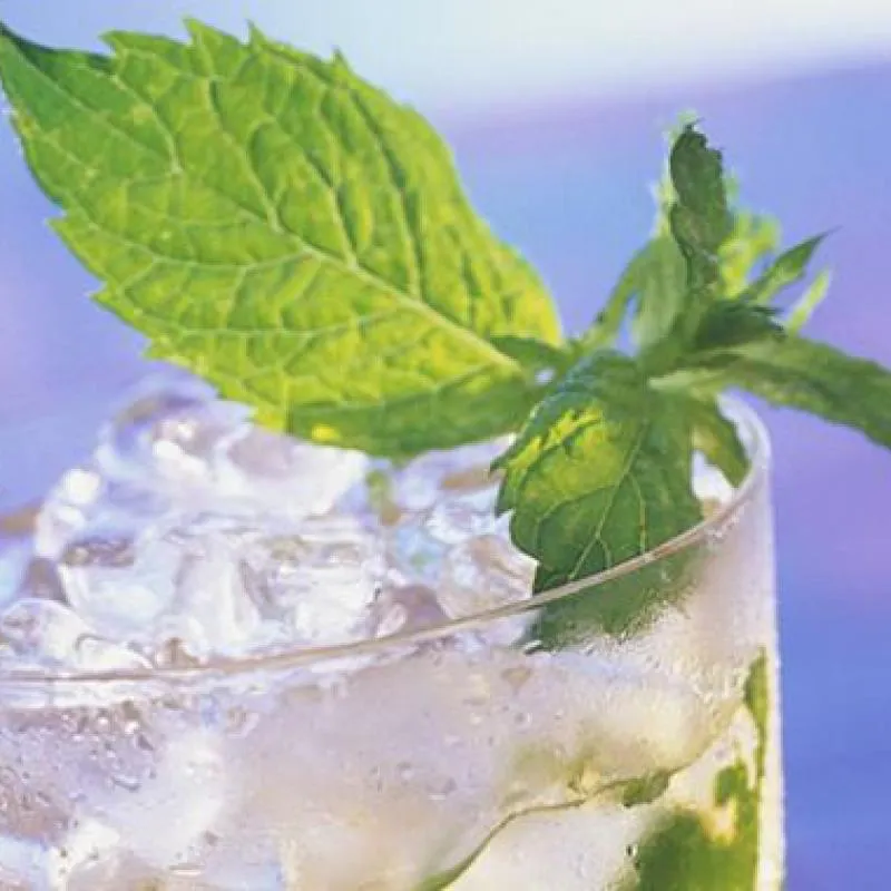 Mojito